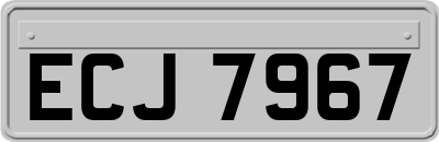 ECJ7967