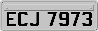 ECJ7973