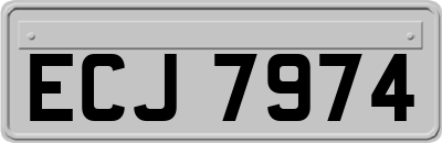 ECJ7974