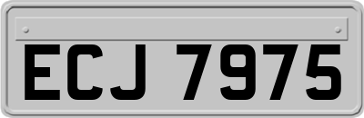 ECJ7975