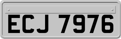 ECJ7976