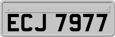 ECJ7977