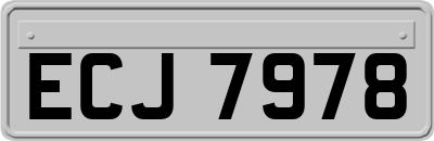 ECJ7978