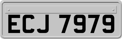 ECJ7979