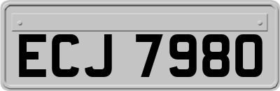 ECJ7980