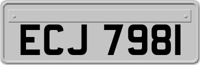 ECJ7981