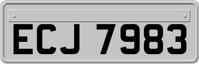 ECJ7983