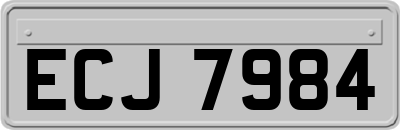 ECJ7984