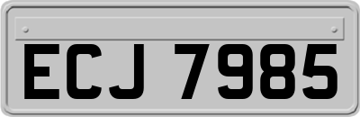 ECJ7985