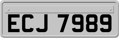 ECJ7989