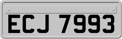 ECJ7993