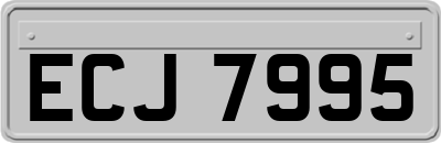 ECJ7995