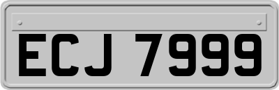 ECJ7999