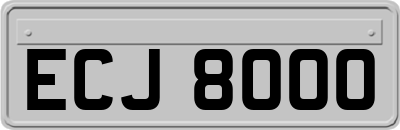 ECJ8000