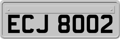 ECJ8002