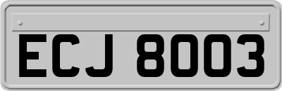ECJ8003