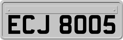 ECJ8005