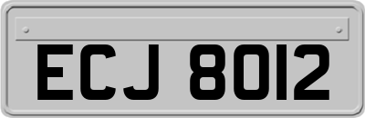 ECJ8012