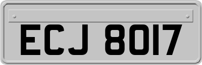 ECJ8017