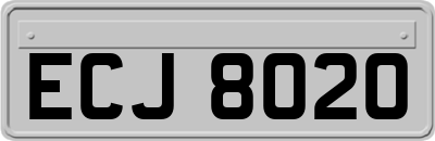 ECJ8020