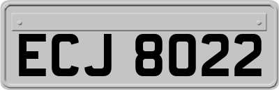 ECJ8022