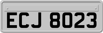 ECJ8023