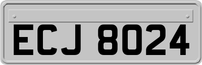 ECJ8024