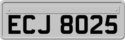 ECJ8025