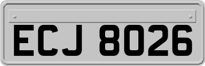 ECJ8026