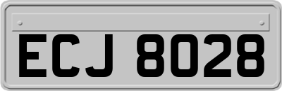 ECJ8028