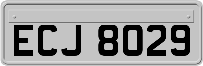 ECJ8029