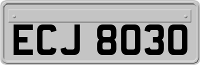 ECJ8030