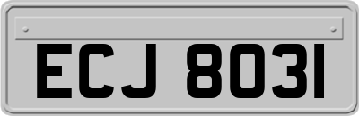 ECJ8031
