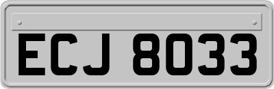 ECJ8033