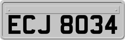ECJ8034