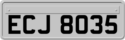 ECJ8035