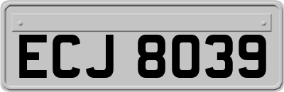 ECJ8039