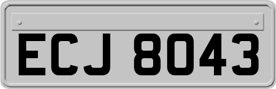 ECJ8043
