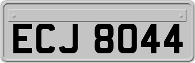 ECJ8044