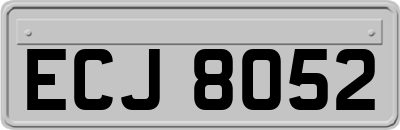 ECJ8052