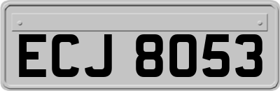 ECJ8053