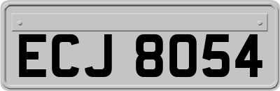 ECJ8054