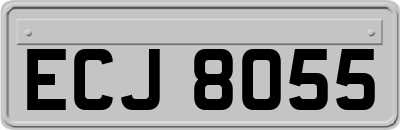 ECJ8055