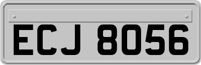 ECJ8056