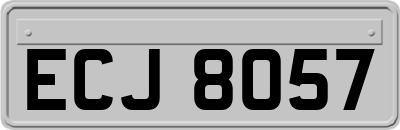 ECJ8057