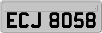ECJ8058