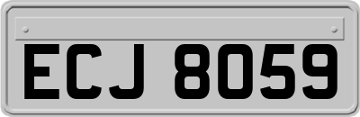 ECJ8059
