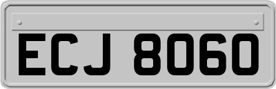 ECJ8060