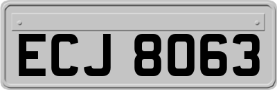 ECJ8063