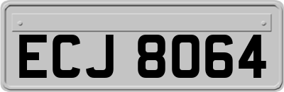 ECJ8064